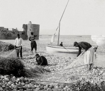 Wrau-sea-of-galilee photo