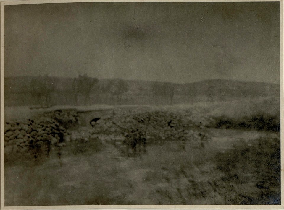 Wurla Iskele (BildID 15544503)
