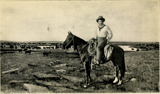 WRIGHT(1913) Chalk Beeson (14596557808)
