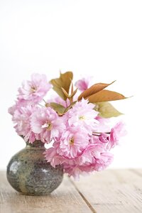 Pink flowers vase photo