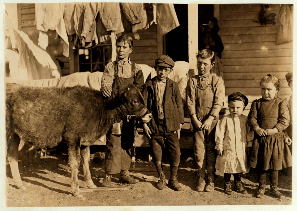 Wylie Mill, Chester, S.C. Boy with calf is Pamento Benson. Raising it for beef. Has worked in mill 2 years. Mr. Benson said, 'Just as soon as the boys get old enough to handle a plow, we go LOC cph.3b03846
