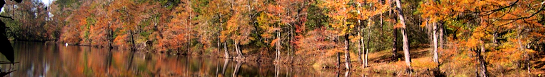 WV banner Central Piney Woods Fall foilage at Bouton Lake