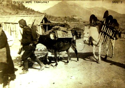 WWI Turkish Army transport by donkeys in Egypt 1915 (22228600010)