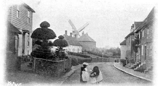 Wye windmill