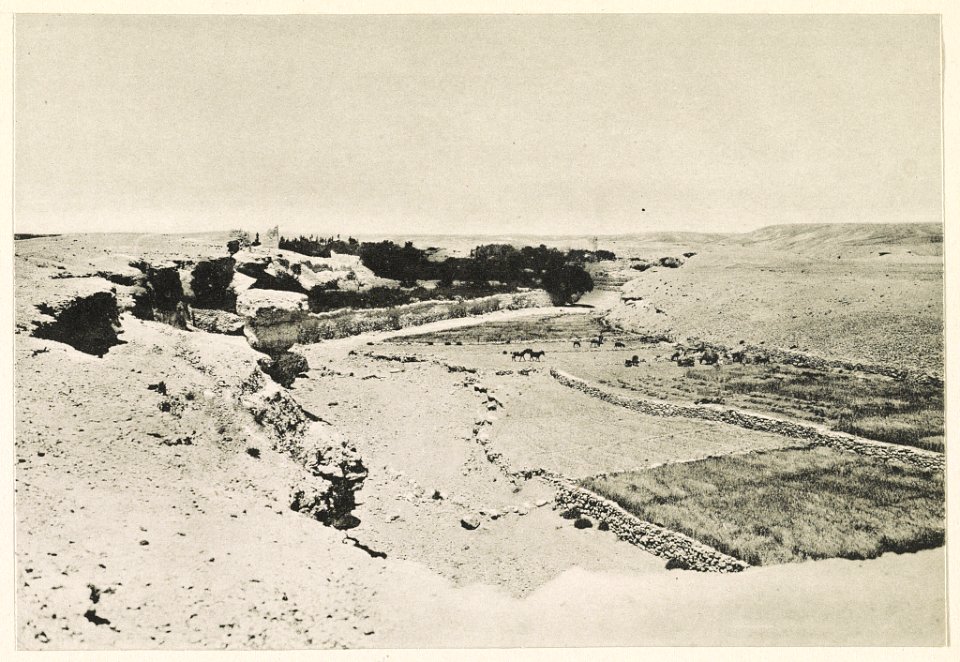 Wâdi Maʻân vom edomitischen Gebirge kommend und in der Wüste verlaufend. LCCN2014648750