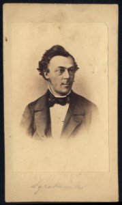 Władysław Syrokomla portret