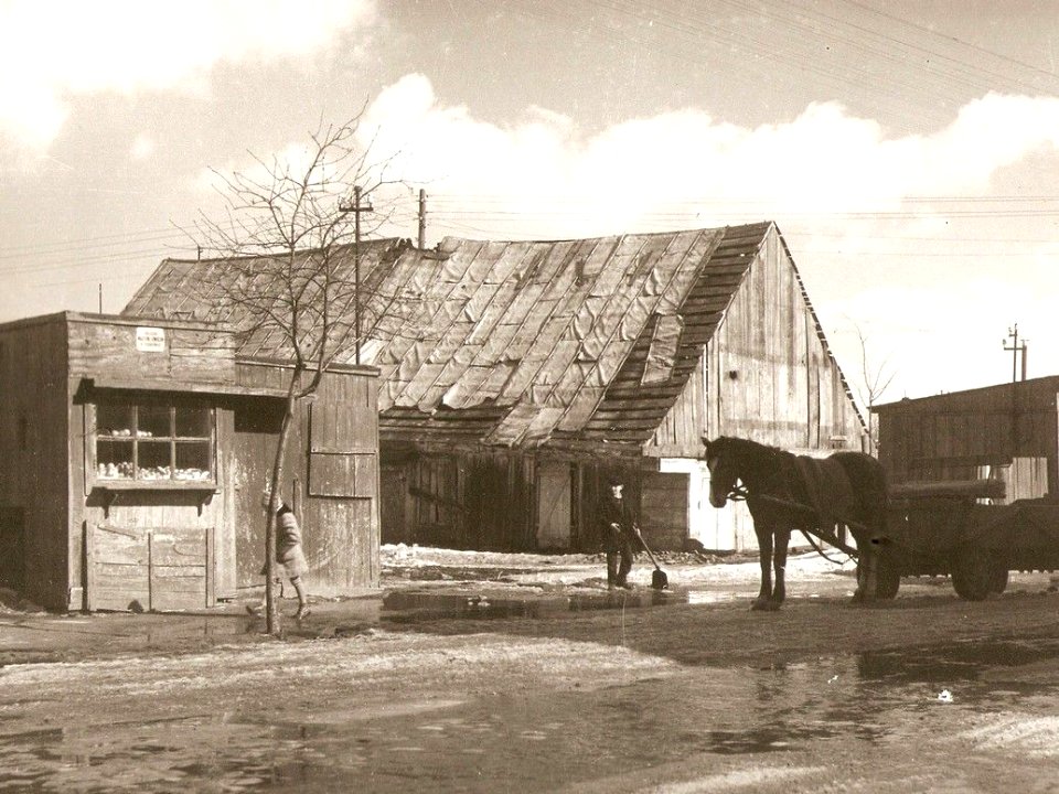 Wójtostwo 1, Mława 05