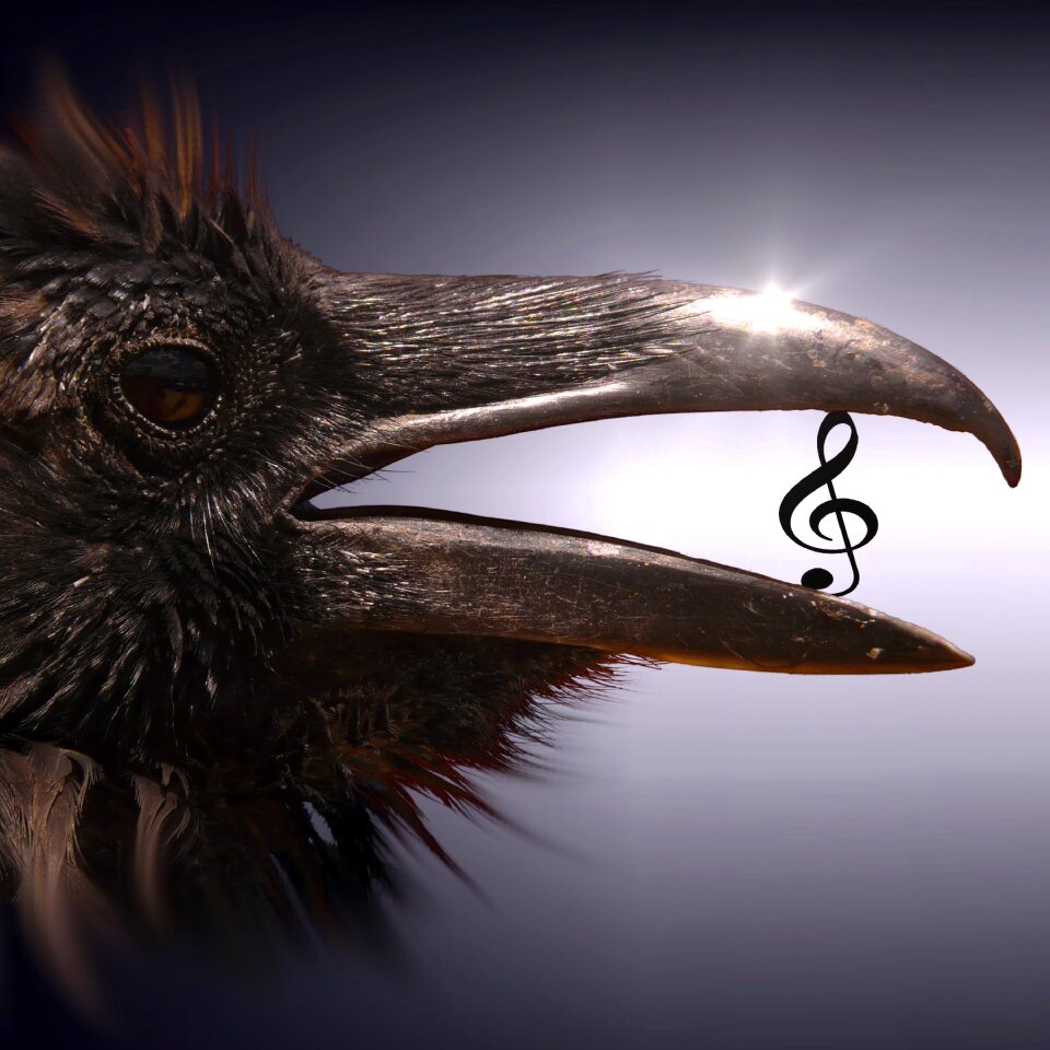 Surreal magic mysterious