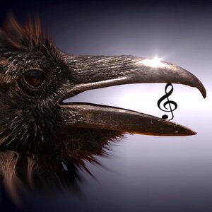 Surreal magic mysterious