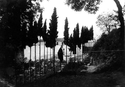 Xiprers i vista parcial d'una masia prop de l'ermita de Sant Medir