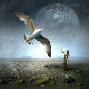 Moon landscape magic
