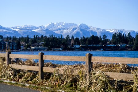 Mt arrowsmith fence snow