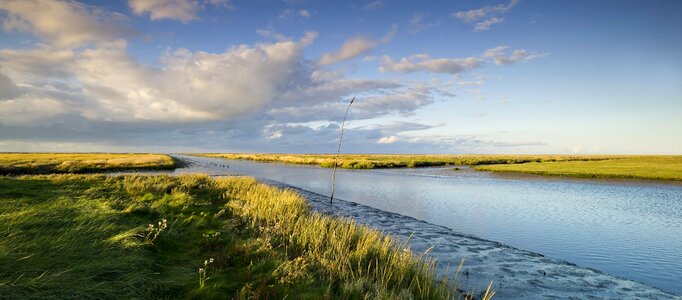 Creek ebb environment