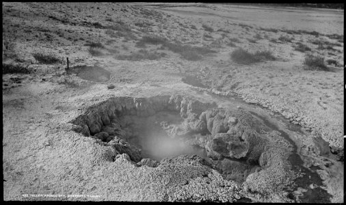 Yellow Sponge Spring, Shoshone basin. Yellowstone National Park. - NARA - 517223