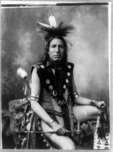 Yellow Shirt, three-quarter length portrait, seated, facing front; in feather headdress, holding tomahawk LCCN92508800 photo