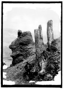 Yellowstone Nat. Park. Fossil Forests LCCN2016821371