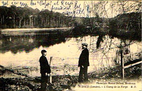 Ychoux - Etang de la forge