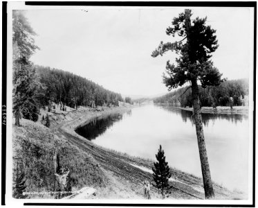 Yellowstone River three miles from the Canyon Hotel, Yellowstone National Park, reached by the Northern Pacific Railway via Gardiner Gateway LCCN90715867