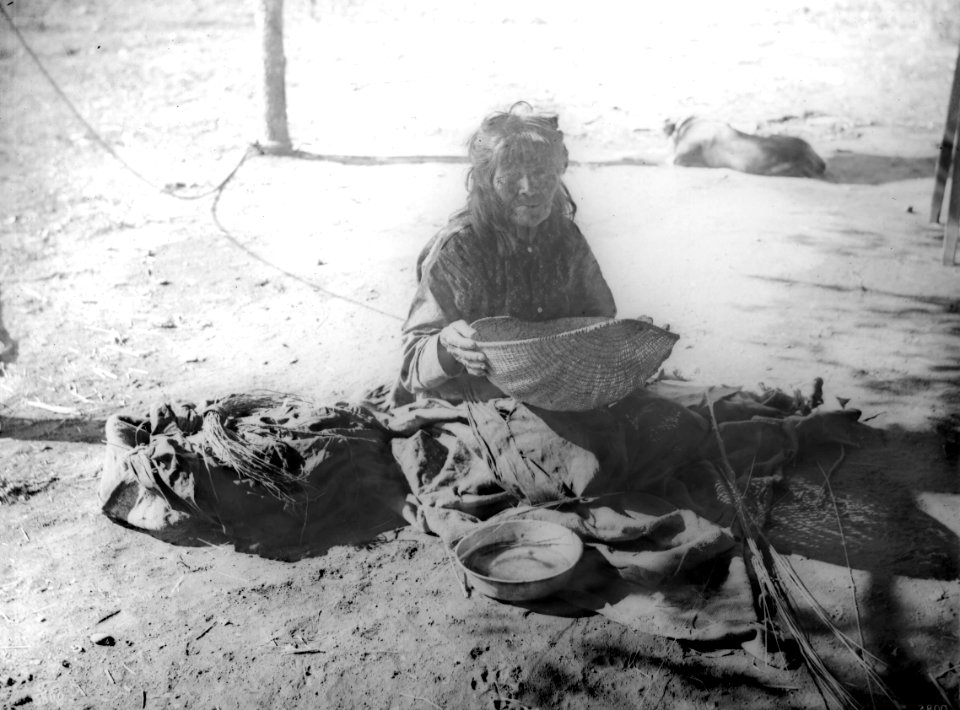 Yokut Indian woman sifting corn meal in a reed basket, Tule River Reservation near Porterville, California, ca.1900 (CHS-3800)