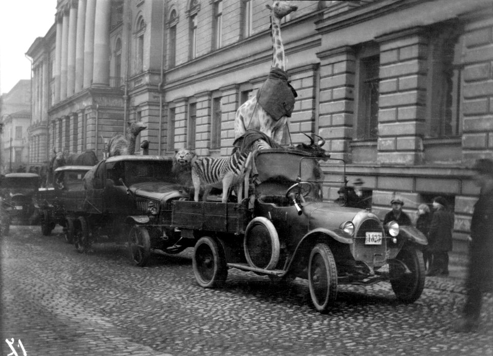 Yliopiston eläintieteelliset kokoelmat siirretään Yliopiston päärakennuksesta Eläintieteellisen museoon - N2259 (hkm.HKMS000005-0000007b)