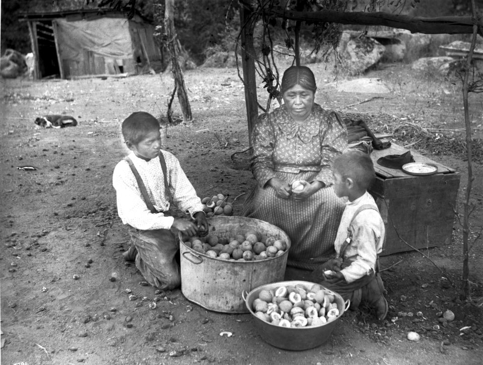 Yokut Indian women and two boys preparing peaches, Tule River Reservation near Porterville, California, ca.1900 (CHS-3796)