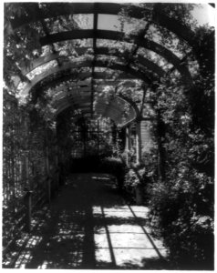 York Cottage, York Hall, York Co., Virginia, interior of arbor LCCN89710778