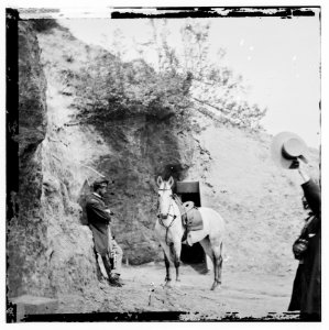 Yorktown, Virginia. Captain Perkin's 'Sesesh' horse captured at Cornwallis cave LOC cwpb.01628