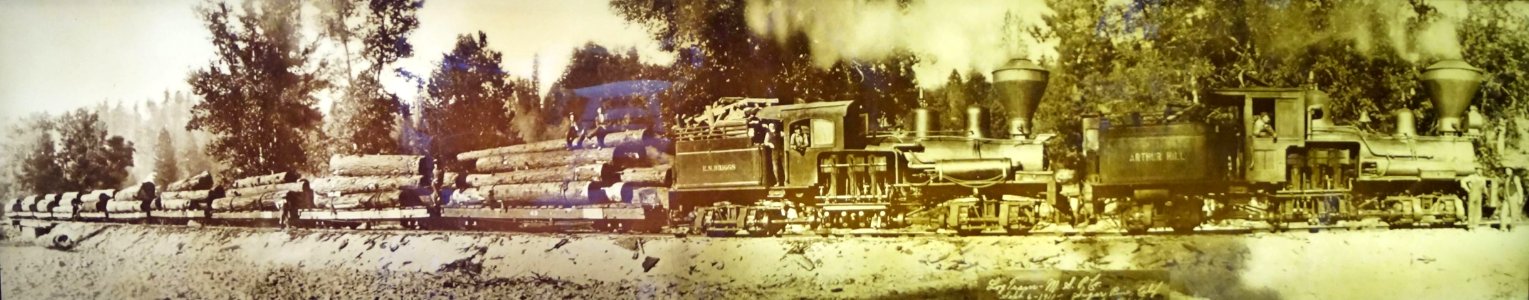 Yosemite Mountain Sugar Pine Railroad 48
