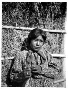Young Chemehuevi Indian girl, ca.1900 (CHS-3477) photo
