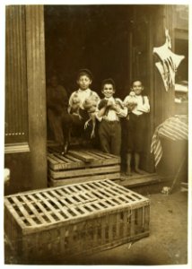 Young Chicken Venders, Sixth St. Market, Cincinnati. Heyman Mormer, 732 Kenyon Ave., 9 years old. Willie Mormer, 732 Kenyon Ave., 12 years old. Reubenstein, 567 W. 6th St., 12 years old. LOC cph.3c15370