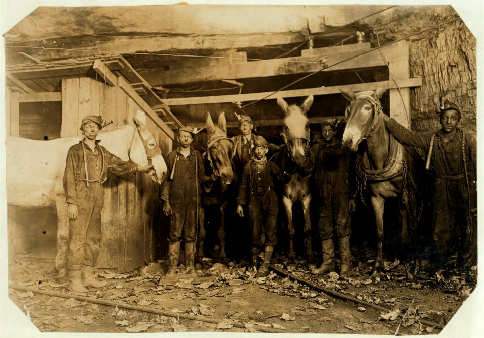 Young Drivers and Trapper Boy, Brown Mine, Brown, W. Va. (Underground from 7 A.M. to 5-30 P.M.) Sept., 1908. LOC cph.3a17767