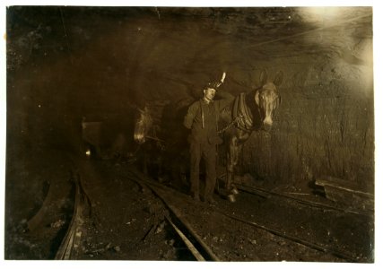 Young Driver in Mine, (W. Va.) Over 10 hours a day, underground. Sept., 1908. LOC cph.3a29785