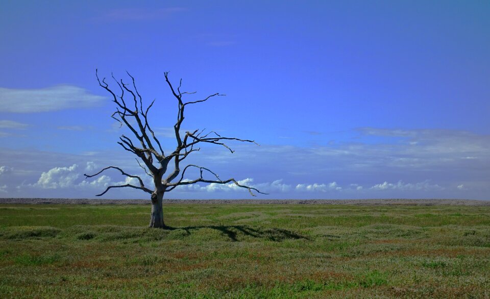 Death lonely loneliness