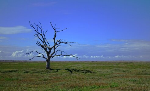 Death lonely loneliness photo