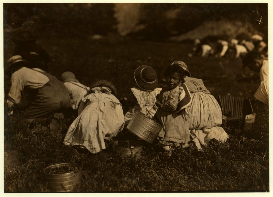Young pickers on Swift's Bog. All working. LOC cph.3a29818