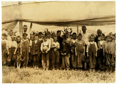 Young pickers in field, American Sumatra Tobacco Co. We found 34 boys from 9 to 15 yrs. LOC nclc.00728