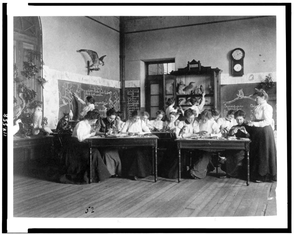 Young women in Washington, D.C. Normal School classroom studying birds LCCN95500487