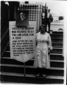 Young women picketing outside White House gates for amnesty for war protesters - sign, with portrait of Harding, reads- This is the president who pleaded to set the law aside for a dog. LCCN2002697215