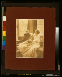 Young woman seated by a window with flowers in her lap) - Mary A. Bartlett LCCN2004675092 photo