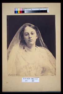 Young woman draped in diaphanous material,facing front, half-length portrait) - Walter G. Chase LCCN2004676223 photo
