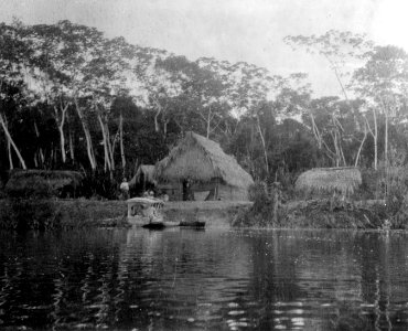 Yuracáre-hyddor. Rio Mamoré. Bolivia - SMVK - 005554
