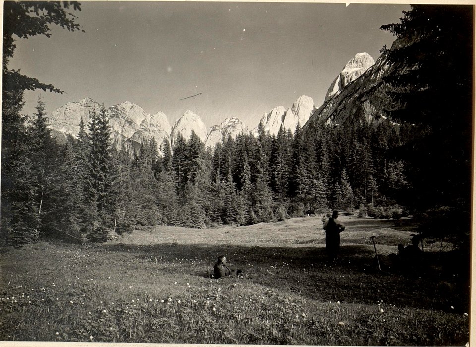 Zabraha Tal mit Blick gegen Schwalbenspitzen undkaltwasser Gamsmutter. Aufgenommen am 3.6.1916. (BildID 15475104)