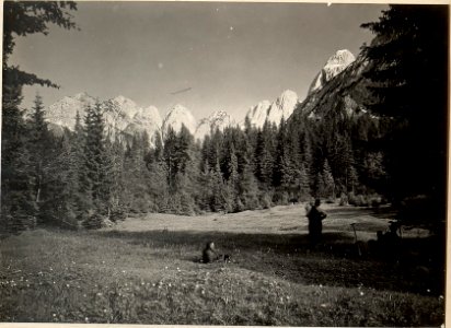 Zabraha Tal mit Blick gegen Schwalbenspitzen undkaltwasser Gamsmutter. Aufgenommen am 3.6.1916. (BildID 15475104)