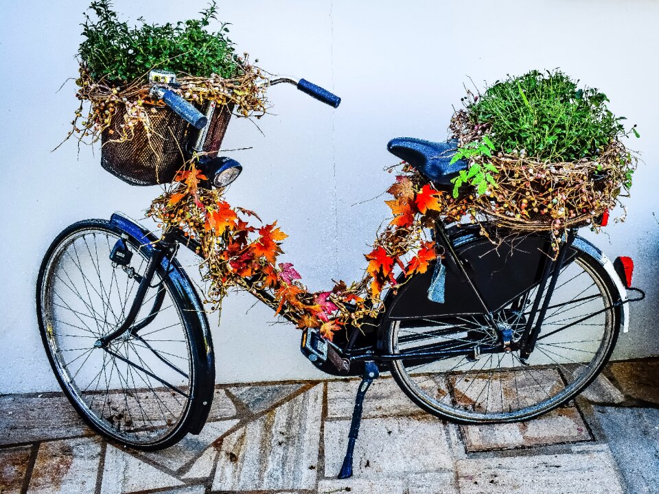Basket bike vintage