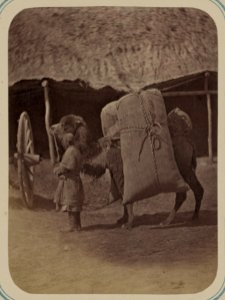 Zaravshanskii okrug. G. Samarkand LCCN2007682562