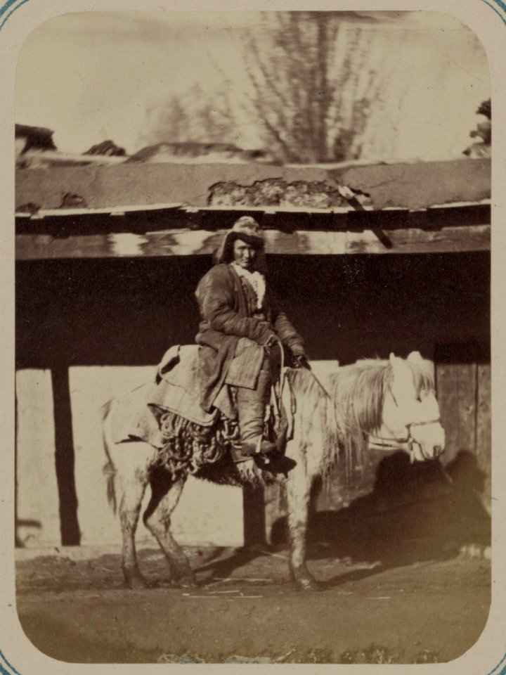 Zaravshanskii okrug. G. Samarkand i ego ulichnye tipy. Podenshchik (kirakesh) LCCN2007682589