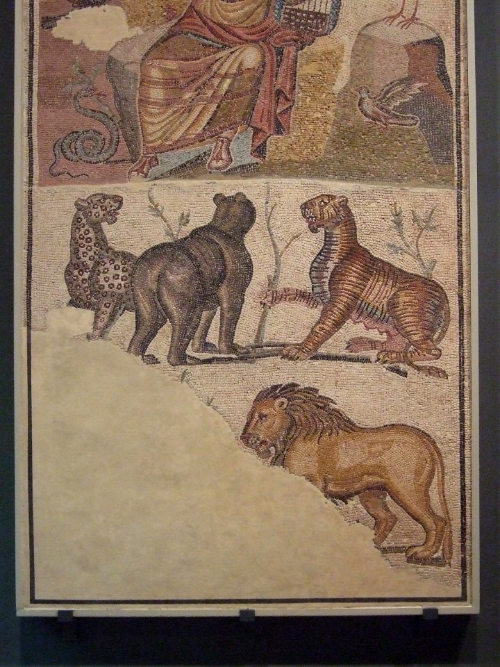 Zaragoza - Museo - Mosaico de Orfeo 03