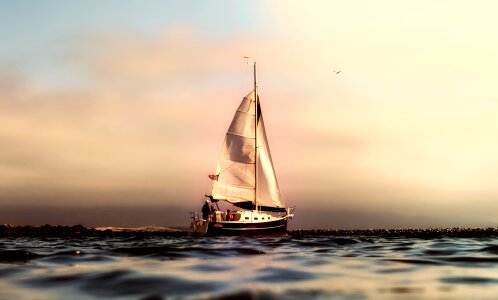 Ocean pacific sailboat photo