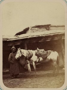 Zaravshanskii okrug. Konskaia upriazh' dlia bukharskoi arby LCCN2007681363