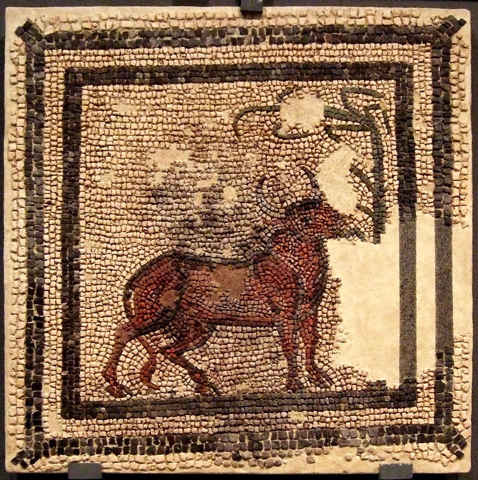 Zaragoza - Museo - Villa Fortunatus - Mosaico mayo